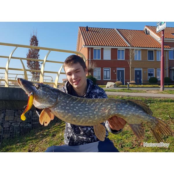 Voyage de pche en Hollande