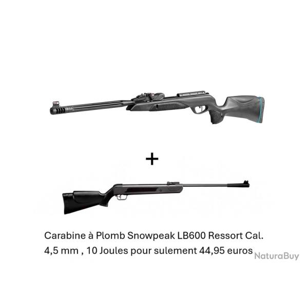 Vente Flash ! Carabine Gamo Speedster IGT 10X GEN2i C. 4,5 mm + Carabine Snowpeak LB600 Cal. 4,5 mm