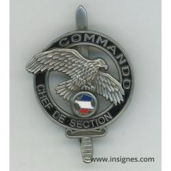INSIGNE Chef de Section Commando