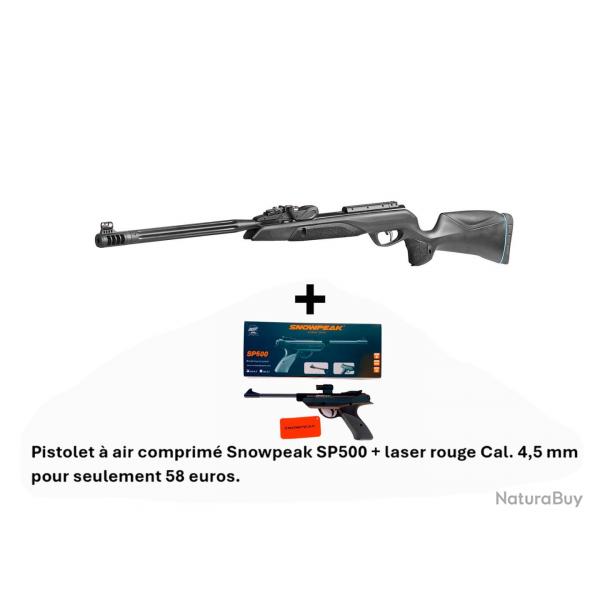 Vente Flash ! Carabine Speedster IGT 10X GEN2i C. 4,5 mm + Pistolet SNOWPEAK SP500 4,5 mm + Laser