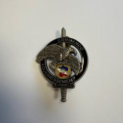 INSIGNE COMMANDO AGUERISSEMENT