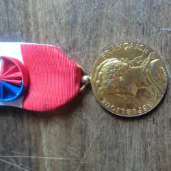 médaille ministére du travail  D. chatelier 1984 / A.borrel