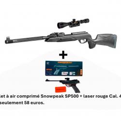 Vente Flash ! Carabine + Lunette Speedster IGT 10X GEN2i 4,5 mm + P. SNOWPEAK SP500 4,5 mm + LASER