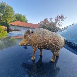 Bronze sanglier