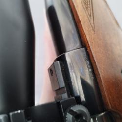 Carabine Brno 300 win mag