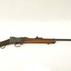 Carabine monocoup Martini Henry 22LR 1 sans prix de réserve