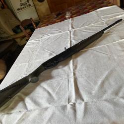 Carabine 300 win mag
