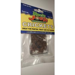 LEURRE CRICKETS x22 - NEUF