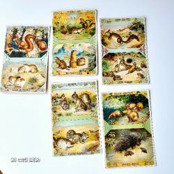 Lot de 5 images chicorée avec  des chiens de prairie, des marmottes, des cochons aquatiques, ...