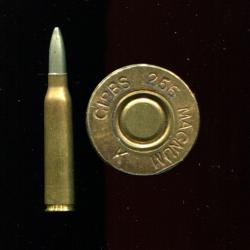 .256 Gibbs Magnum - RARE - marquage : GIBBS 256 MAGNUM K - balle nickel pointue