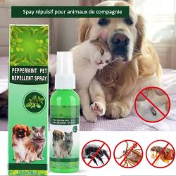 Spay  anti-puces pour animaux de compagnie, anti-puces, anti-tiques, anti-acariens pour chiens