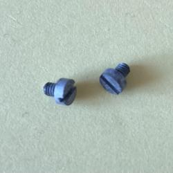 Deux vis de tambour de lunette APX 806 - FRF1 - FRF - 49/56