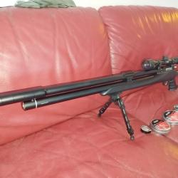 Snowpeak m25, 7.62, cat c, 110 joules avec lunette Weaver 3-9x40, bipied et plombs