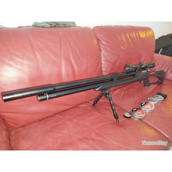 Snowpeak m25, 7.62, cat c, 110 joules avec lunette Weaver 3-9x40, bipied et plombs