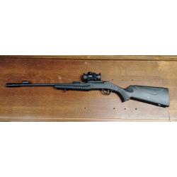 Carabine 22LR Rossi Monténégro
