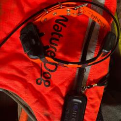 DOGTRA PATHFINDER 1