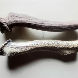 Bois de cerf naturel morceaux pour chiens