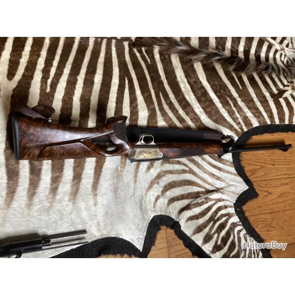 R93 Africaine avec stecher 10-11* en 300wm