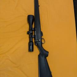 Tikka T1x 17hmr, modérateur de son Sako et lunette 3x12x56 Ranger Steiner