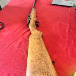 Rare carabine damon 410