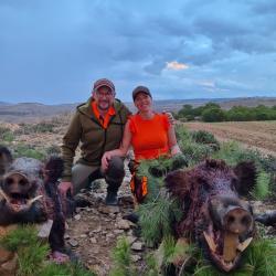 La chasse du sanglier en Tunisie avec L'Association un monde de Chasse