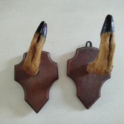 Porte fusil ancien pied de chevreuil