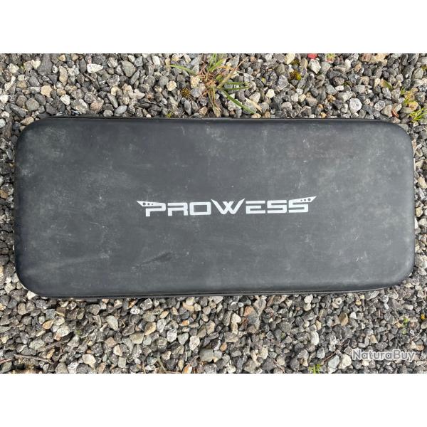 cureuil prowess