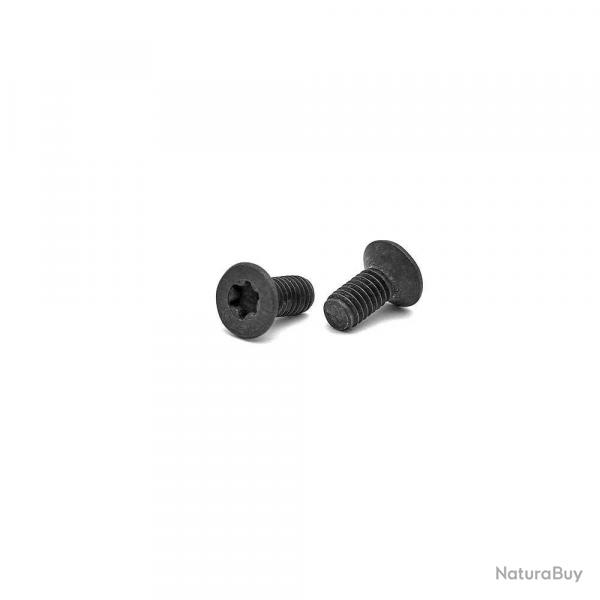 Jeu de vis pour poignes en aluminium CZ (2 pices) Torx T15