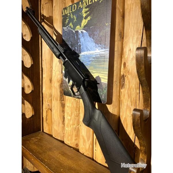 ENCHERES 1 - ROSSI MODEL GALLERY 22LR