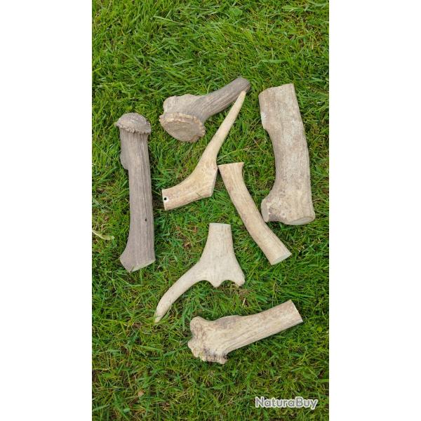Gros morceau de bois de cerf pour chien  rogner . Un kilo 500 .