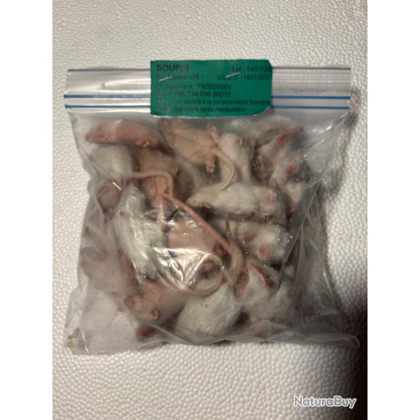 Souris sauteuses 7/10g X 25