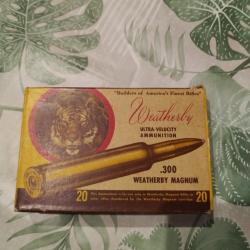 balles 300 weatherby magnum