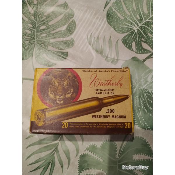 balles 300 weatherby magnum