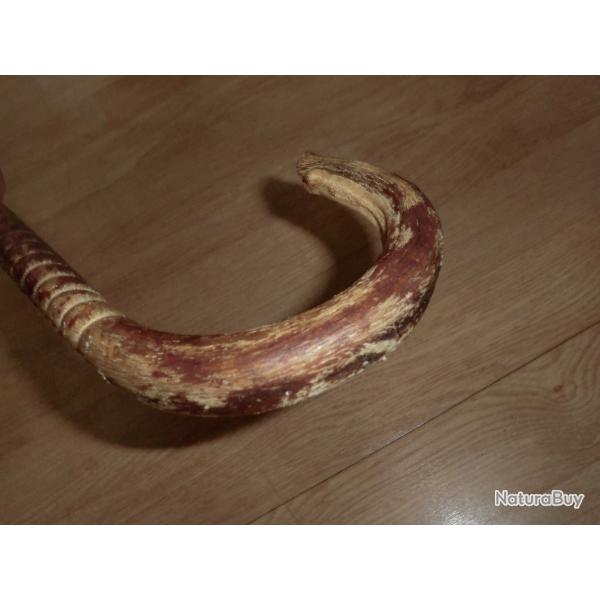 canne dfense torsade nerf de boeuf