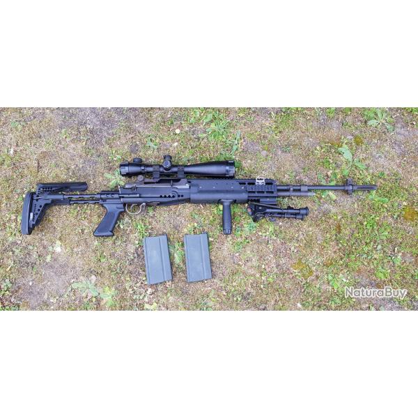 M14 EBR WE