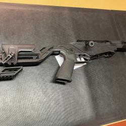 Ruger 22 lr