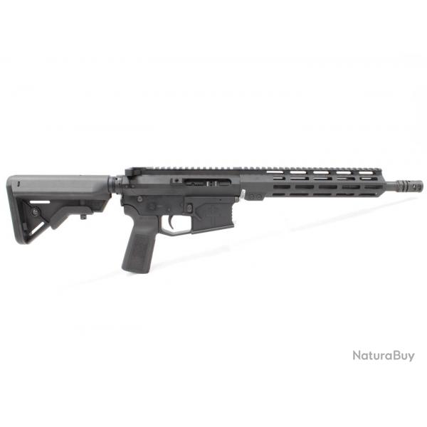 Fusil AR-15 ALFA PRECISON modle AP15