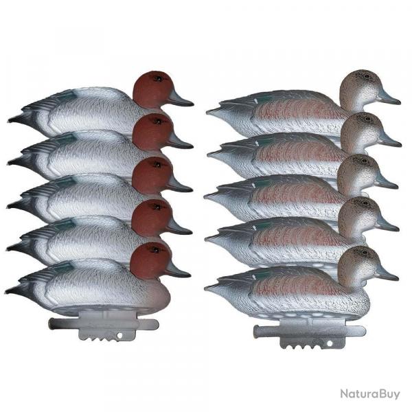 Vente Flash ! 5 formes mles 5 femelles siffleurs