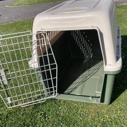 Caisse de transport pour chien