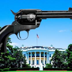 REVOLVER 1873 357 MAG DONALD TRUMP JASPE