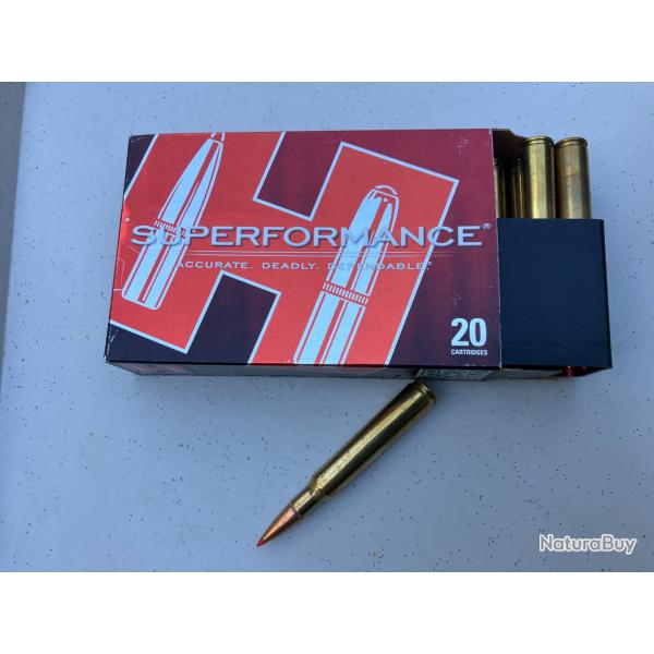 cartouches 7 x 64 hornady