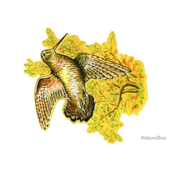 Autocollant couleur pour voiture 21x30cm Colvert