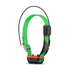 Collier de suivi et de dressage TT 25f