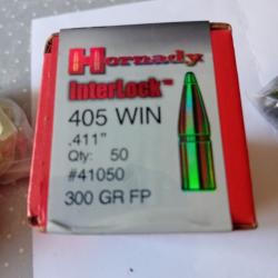 405 winchester 300gr FP