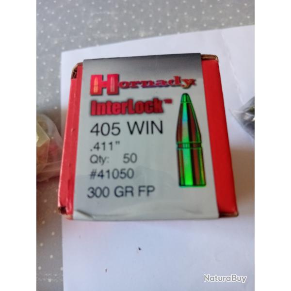 405 winchester 300gr FP