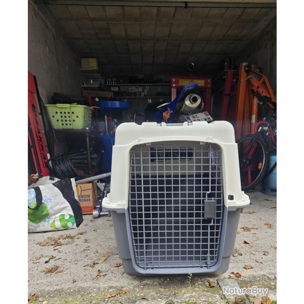 A vendre caisse de transport pour gros chien