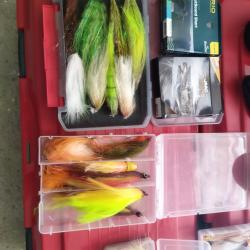 Ensemble pêche à la mouche carnassiers