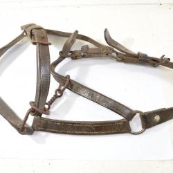 Ancien licol de cheval, militaire ou civil ?