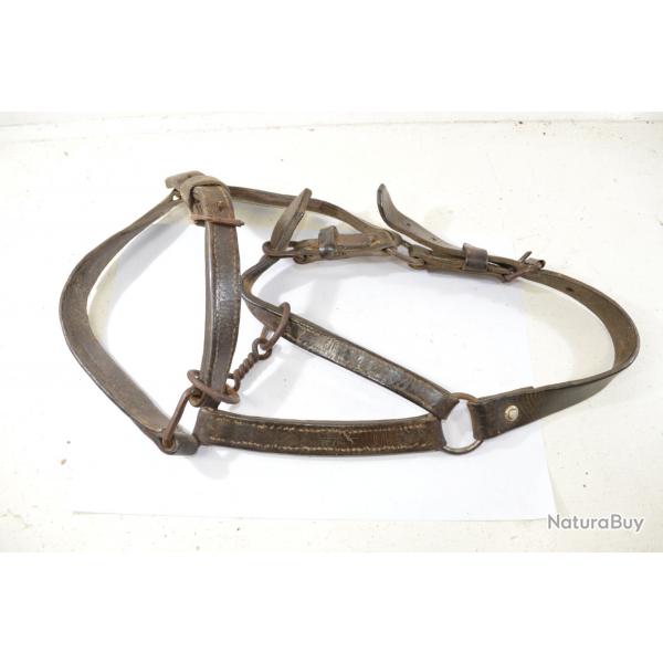 Ancien licol de cheval, militaire ou civil ?