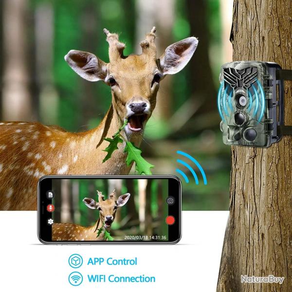 Camra de chasse et de sentier en direct WIFI830PRO 4K